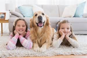 kid + dog on carpet